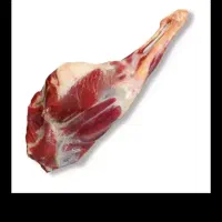 گوشت بره نر کشتار روز