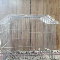 فروش قفس