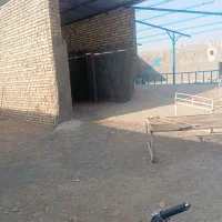 ی باب دامداری فروشئ 800متر|فروش دفتر صنعتی، کشاورزی، تجاری|قنوات, |دیوار