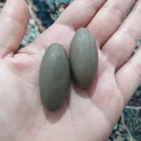 بهترین جفت مهره|جواهرات|بوشهر, |دیوار