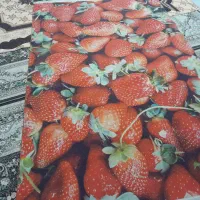 فرش ۴ متری طرح میوه ای|فرش|محمدشهر, شهرک چمران|دیوار