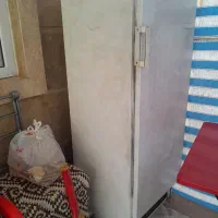 یخچال،۱۲،فوت،ارج