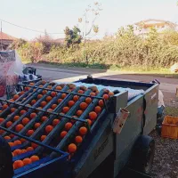 پلاستیک پیچی وگرمادرمانی