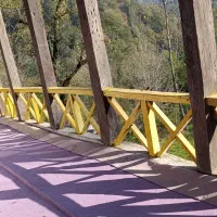 ویلا در شمال کشوراقامتگاه بومگردی شمشاد|اجارهٔ کوتاه‌مدت ویلا و باغ|توتکابن, |دیوار