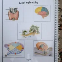 جزوه تایپی نکاتِ زیست یازدهم(۲) علوم تجربی