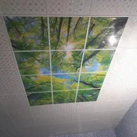 نصاب سقف کاذب تایل 60در60 پنل دیوار پوش