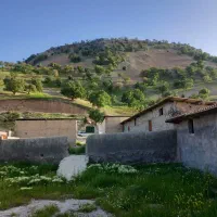 گاوداری-با-قابلیت-وام-میلیاردی