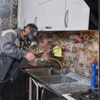 سمپاشی پاکیزه ( شهریار اندیشه کرج)