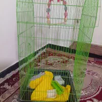 قفس پرنده بزرگ ۱متری