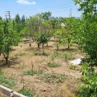 باغ چند ساله در وادان  دماوند به همراه ویلا
