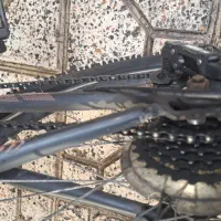 دوچرخه|دوچرخه، اسکیت، اسکوتر|قرچک, زیبا شهر|دیوار