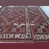 فرش دست بافت رنگ ثابت وگیاهی  ترکی باف چالشتری|فرش|شهرکرد, |دیوار