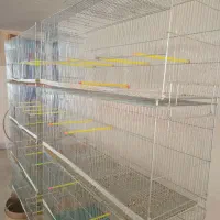 قفس|لوازم جانبی حیوانات|برخوار, |دیوار