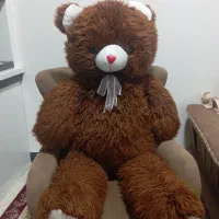 خرس سایز بزرگ|اسباب‌‌بازی|بندر گناوه, |دیوار