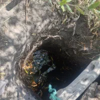 فروش باغ|فروش زمین و ملک کلنگی|قره پشتلو, |دیوار