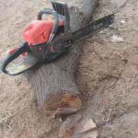 خرید چوب سپیدار وضایعات چوب برشکاری وحرس