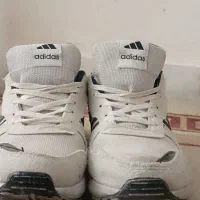 کفش نو به قیمت ۳۵۰ با تخفیف  سایز ۴۱