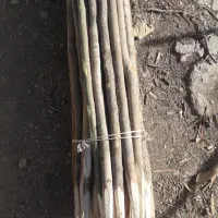 فروش چوب کبوده باریک|عمده‌فروشی|جونقان, |دیوار