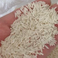 برنج هاشمی ممتاز درجه ۱