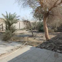 باغ ویلا- زابل- روستای شهرک گلخانی|فروش خانه و ویلا|صابری, |دیوار