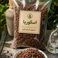 اسکوریا (قروه پومیس) جایگزین مناسب پرلیت  لیکاپون