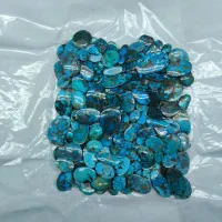 بارخونه فیروزه نیشابوری