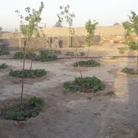 باغ فروشی سمندر|فروش خانه و ویلا|چناران, |دیوار