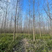 فروش زمین ۲۱۷۵۶ متر نزدیک خیابان اصلی