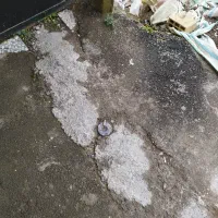 زمین-مسکونی