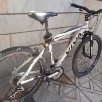 دوچرخه سفید ویوا در حد