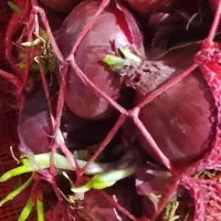 فروش پیاز کیلویی پونزده توماندرجه دو تخفیف دارد