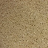 برنج چمپای میداوود درجه یک کشت امسال