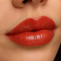 شیدینگ لب|خدمات آرایشگری و زیبایی|شیراز, فلکه گاز|دیوار