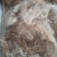 پشم تمیز و شسته شده