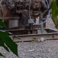 موتور بنز 302