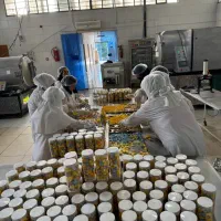 نیازمند ادمین پروژه ای