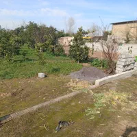 فروش نقدواقساط زمین خانه سرا۴۶۸ متری|فروش زمین و ملک کلنگی|قائمشهر, |دیوار