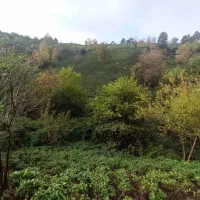 پنت-هاوس-ویو-دار-خیابان-کارگر