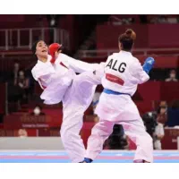 اموزش قهرمانی حرفه ای کاراته