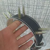 قلاده سگ چرمی