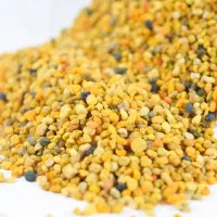 گرده گل درجه یک ایرانی|خوردنی و آشامیدنی|قم, چهار مردان|دیوار