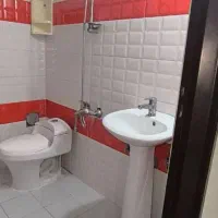 شیرآلات.روشور ۲ عدد نقلی