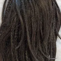 مقداری مو استفاده نشده|آرایشی، بهداشتی، درمانی|پیشوا, |دیوار