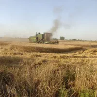 فروش کمباین جاندیر