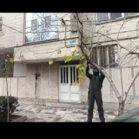 خدمات باغبانی ودرختکاری وهرس.باغ های بزرگ