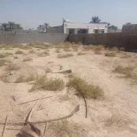 زمین مسکونی باغک جنوبی|فروش زمین و ملک کلنگی|اهرم, |دیوار