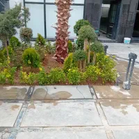 خدمات باغبانی به صورت کاملا حرفه ای|خدمات باغبانی و درختکاری|تهران, پرستار|دیوار