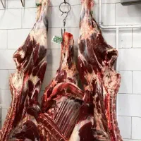 گوشت گرم برای مراسمات