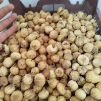 انجیر|خوردنی و آشامیدنی|شیراز, شاپورجان|دیوار