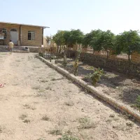 گلخانه نوساز دیوار نرده|فروش دفتر صنعتی، کشاورزی، تجاری|قرچک, داوود آباد|دیوار